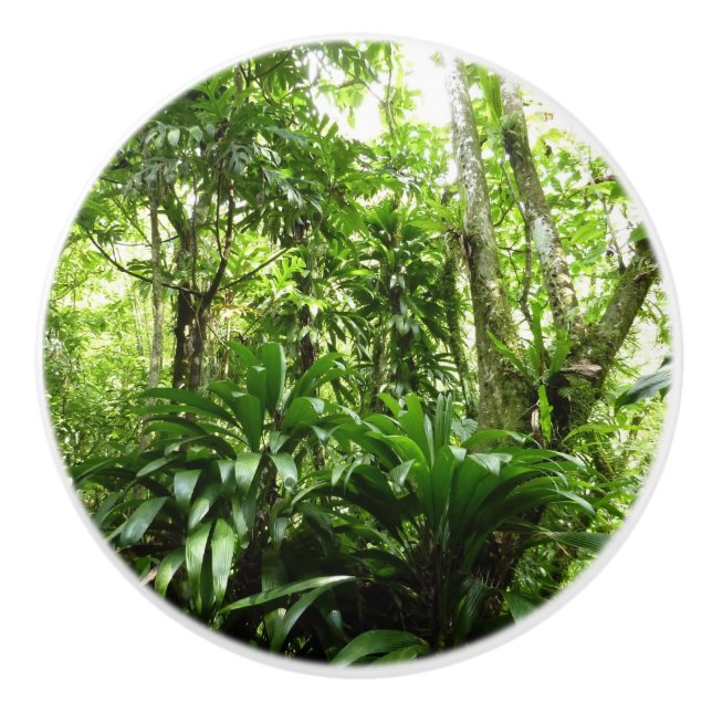 Dominikanischer Regenwald I Tropische Natur Keramikknauf (Vorderseite)