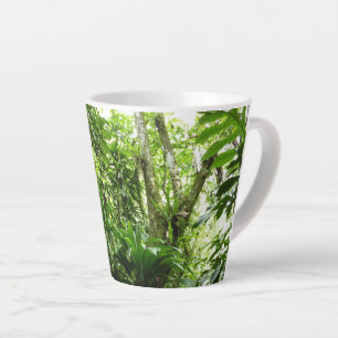 Dominikanischer Regenwald I Tropische Natur Milchtasse