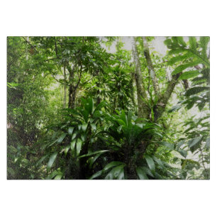 Dominikanischer Regenwald I Tropische Natur Schneidebrett