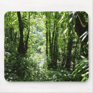 Dominikanischer Regenwald II Tropengrün Mousepad