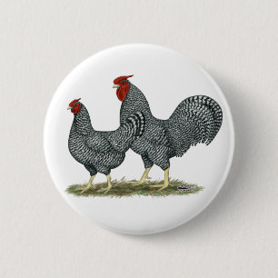 Dominique Chickens Button