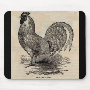 Dominique-Geflügel aus dem 19. Jahrhundert Mousepad