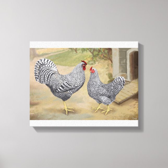Dominique Rooster und Hen Leinwanddruck (Vorderseite)