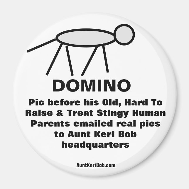 Domino Magnet (Vorne)