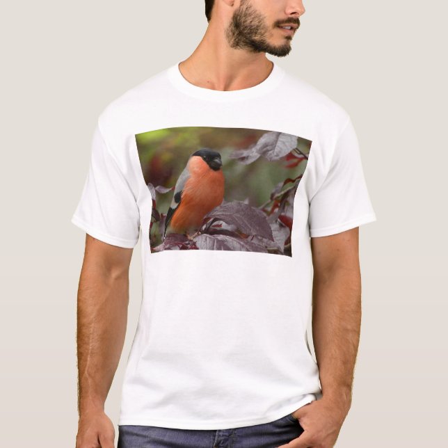 Dompfaff T-Shirt (Vorderseite)