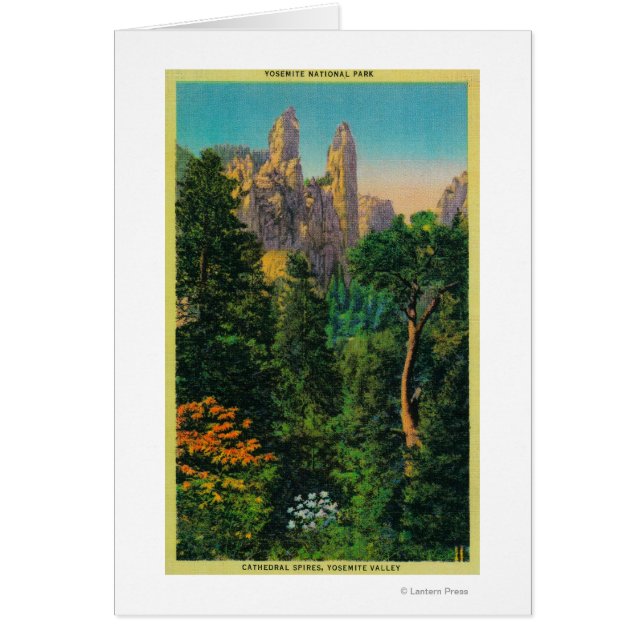 Domspinnen und Yosemite (Vorne)