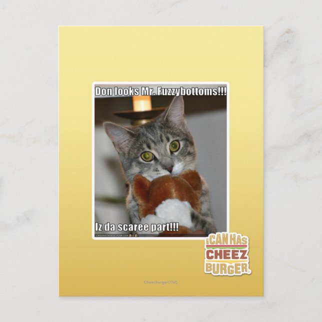Don look postkarte (Vorderseite)