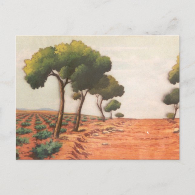 DON QUIXOTE - Hintergrund der Animation von Cartoo Postkarte (Vorderseite)