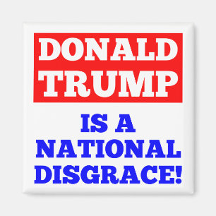 Donald Trump ist ein nationaler Magnet