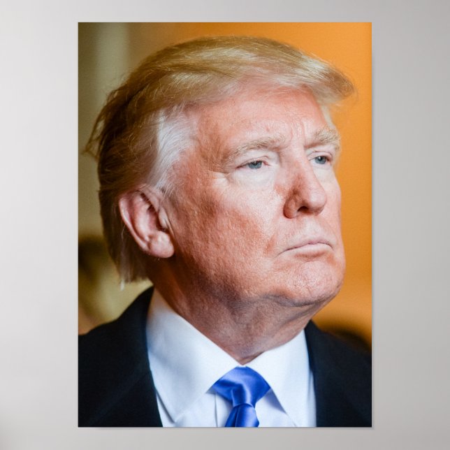 Donald Trump Portrait Poster (Vorne)