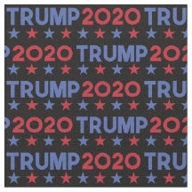 Donald Trump Präsident Amerika Wahl 2020