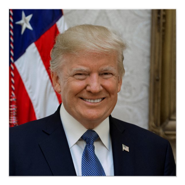 Donald Trump US President White House MAGA 2024  Poster (Vorderseite)