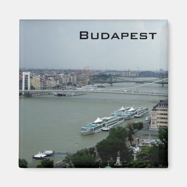 Donaubrücken Magnet (Vorne)