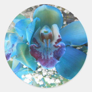 Donella Runder Aufkleber