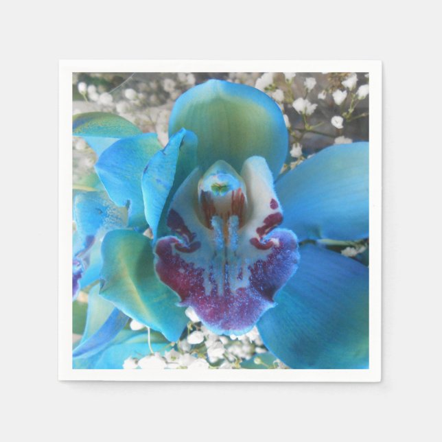 Donella Serviette (Vorderseite)