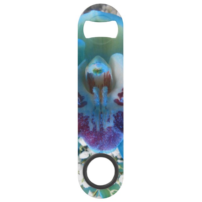 Donella Speed Flaschenöffner (Vorderseite)