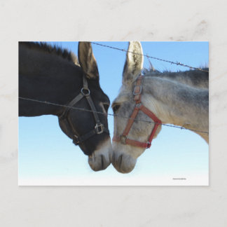 Donk in der Nähe Postkarte