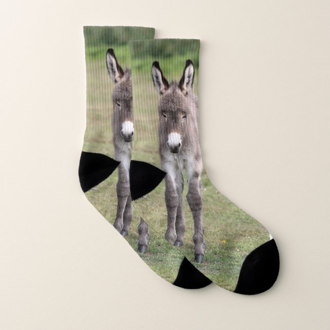 Donkey (Paire)