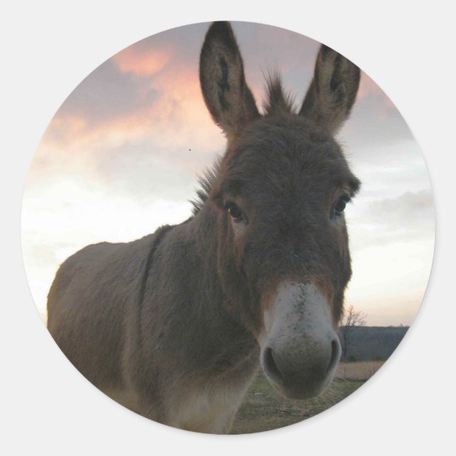 Donkey Art Runder Aufkleber (Vorderseite)