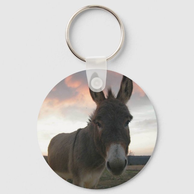 Donkey Art Schlüsselanhänger (Vorderseite)