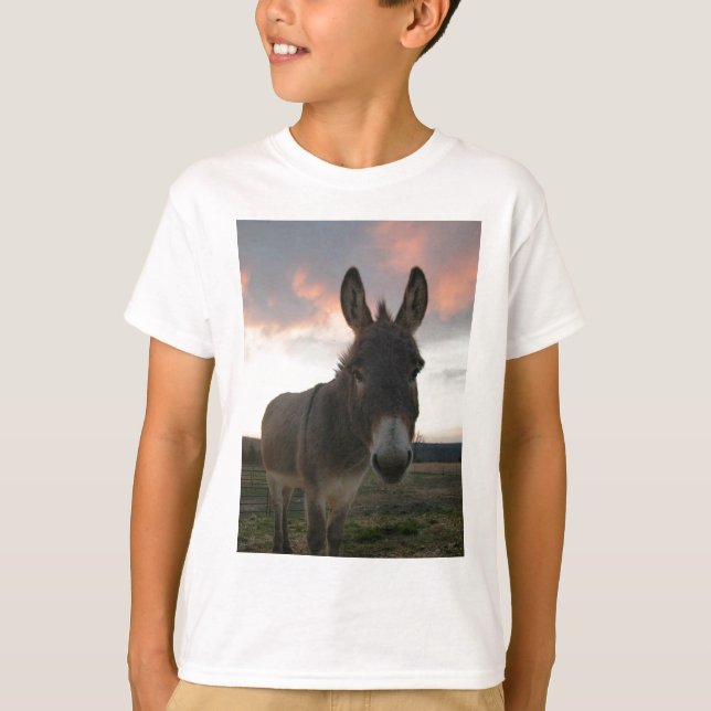 Donkey Art T-Shirt (Vorderseite)