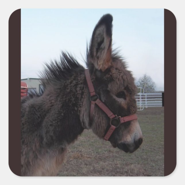 Donkey-Aufkleber Quadratischer Aufkleber (Vorderseite)