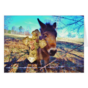 Donkey avec croix Rose