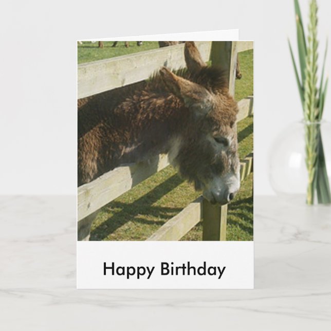 Donkey Birthday Greetings Card Karte (Vorderseite)