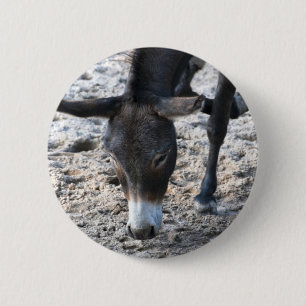 Donkey Button