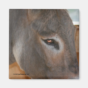 Donkey denkt über Farm Animal Nature Magnet