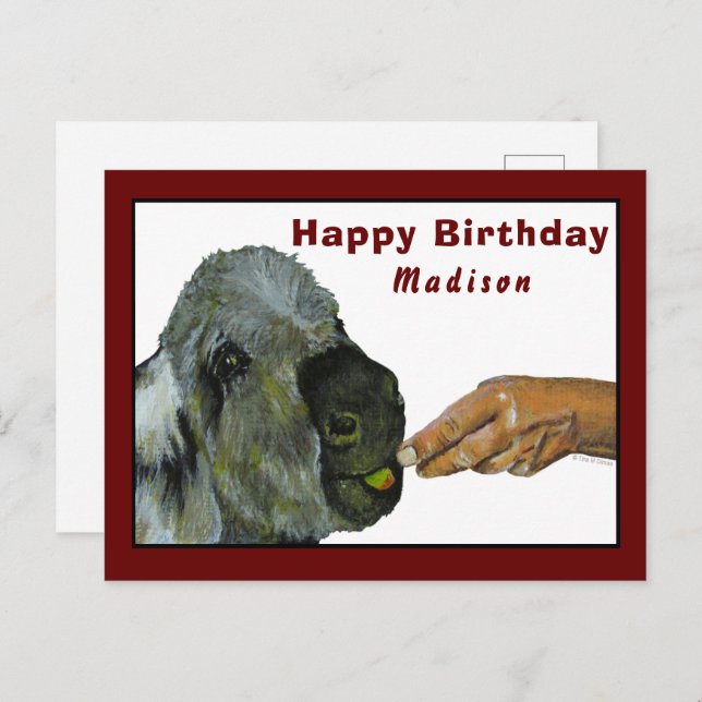 Donkey, der eine Apple-Postkarte isst Postkarte (Vorne/Hinten)