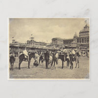 Donkey-Fahrten, Scheveningen 1906