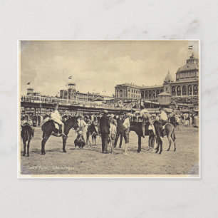 Donkey-Fahrten, Scheveningen 1906 Postkarte
