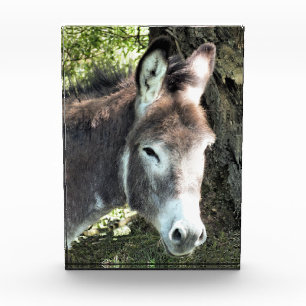 DONKEY FOTOBLOCK