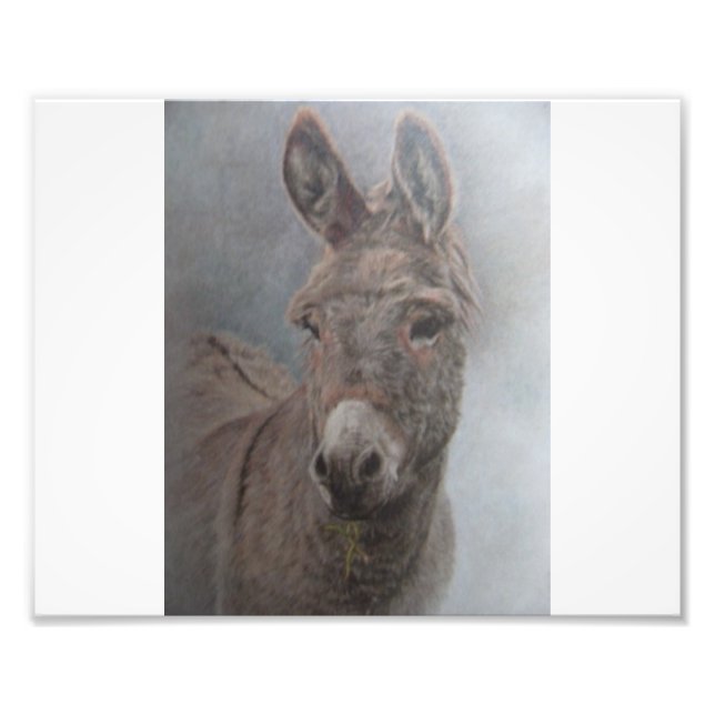 Donkey Fotodruck (Vorne)