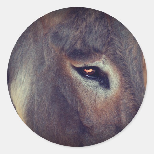 Donkey Gedanken Tier Runder Aufkleber (Vorderseite)