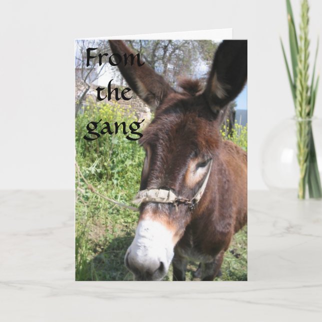 DONKEY GROUP BIRTHDAY WISHES KARTE (Vorderseite)