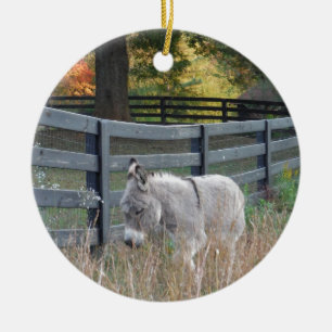 Donkey in an Autumn Field Keramik Ornament