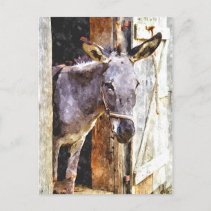 Donkey in Aquarellfarbe Postkarte