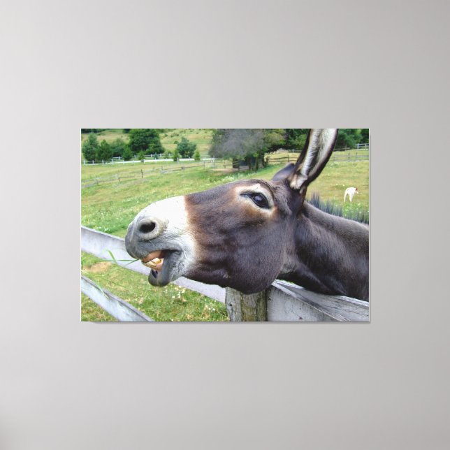 Donkey in Weide mit Hund lächeln Leinwanddruck (Vorderseite)