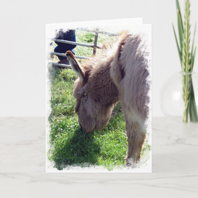 Donkey Karte (Vorderseite)