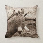 Donkey Kissen<br><div class="desc">Ein kleiner Esel,  stehend in einer Korralle auf einer Pferderasse in Celina Texas</div>