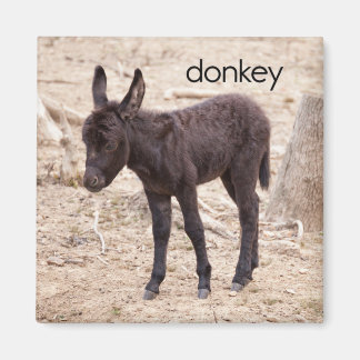 Donkey Kühlschrank Magnet