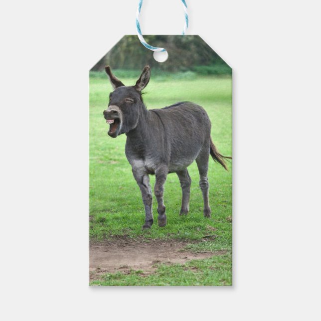 Donkey Laugh Gift Tags Geschenkanhänger (Vorderseite)