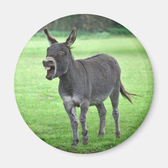 Donkey Laugh Magnet (Vorne)