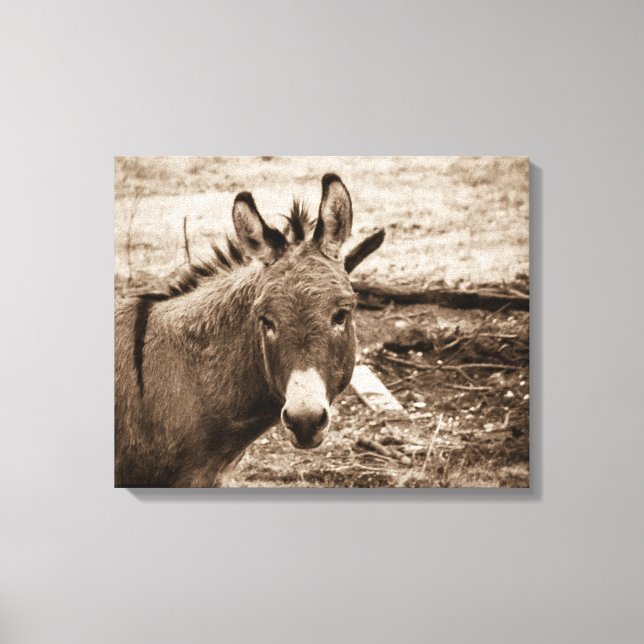 Donkey Leinwanddruck (Vorderseite)