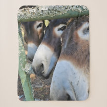Donkey Liebe Sherpa Blanket