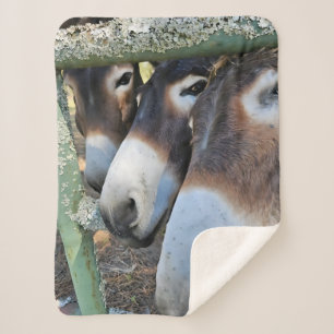 Donkey Liebe Sherpa Blanket Sherpadecke