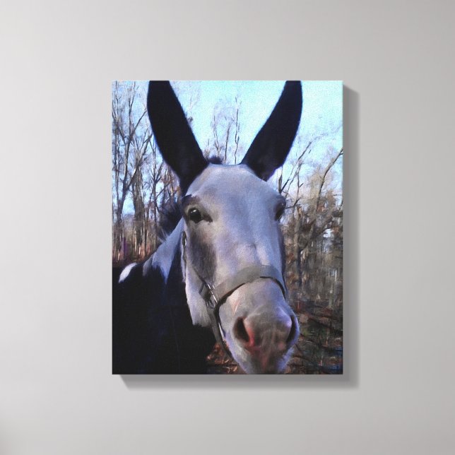Donkey-Malerei Leinwanddruck (Vorderseite)