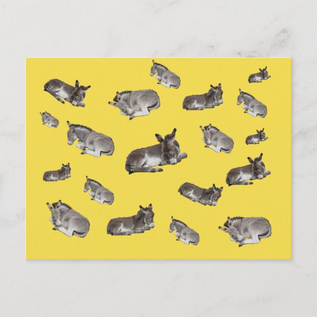 Donkey Mania Postkarte (Vorderseite)